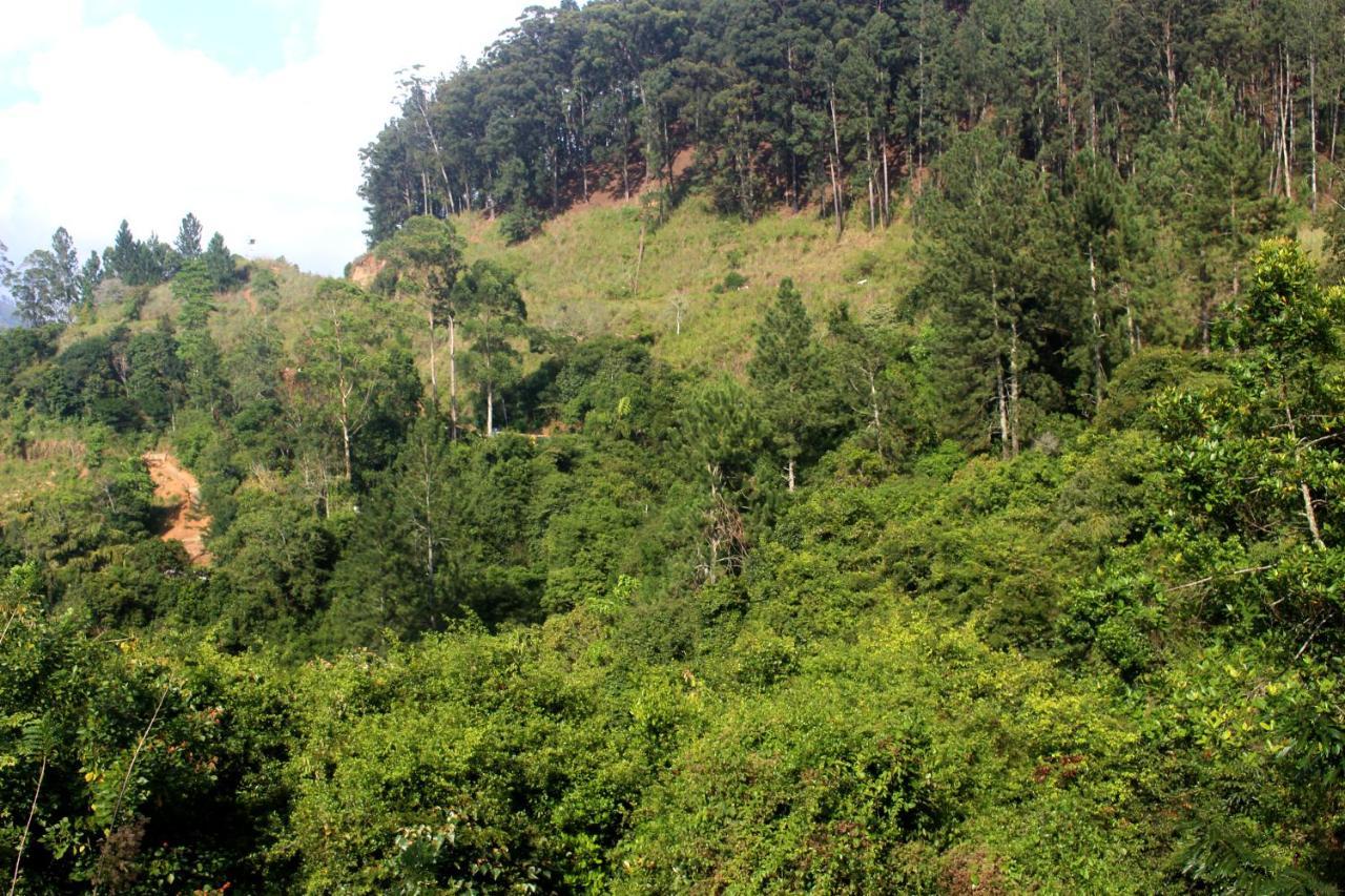 Green Paradise Элла Экстерьер фото