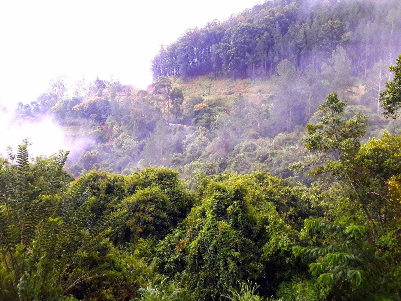 Green Paradise Элла Экстерьер фото